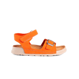 Elia Orange