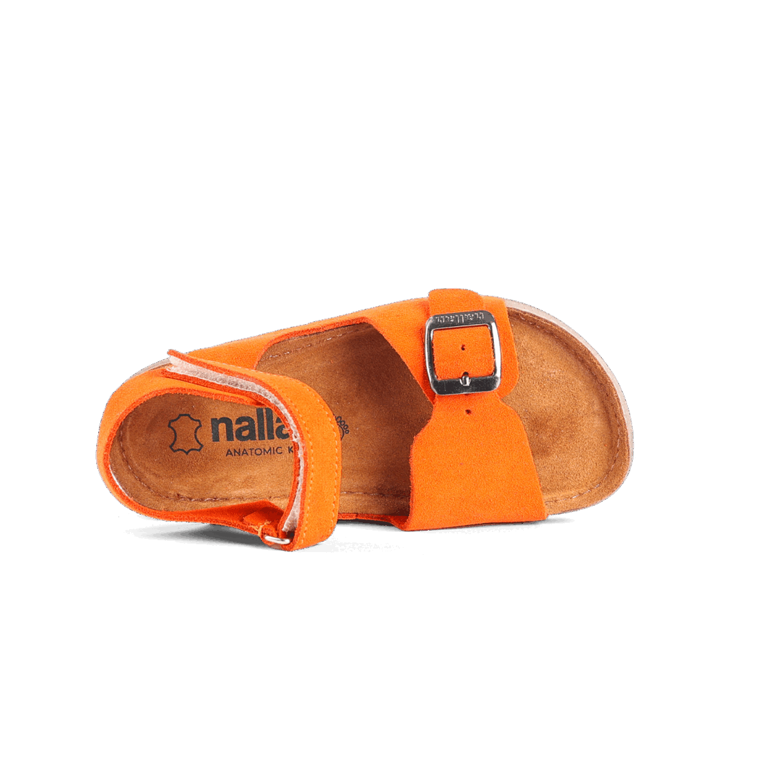 Elia Orange