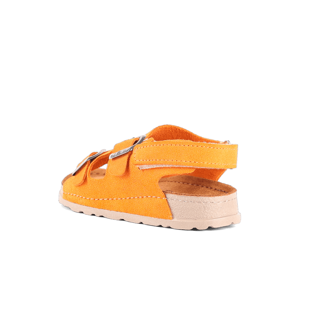 Maveric Vivid Orange