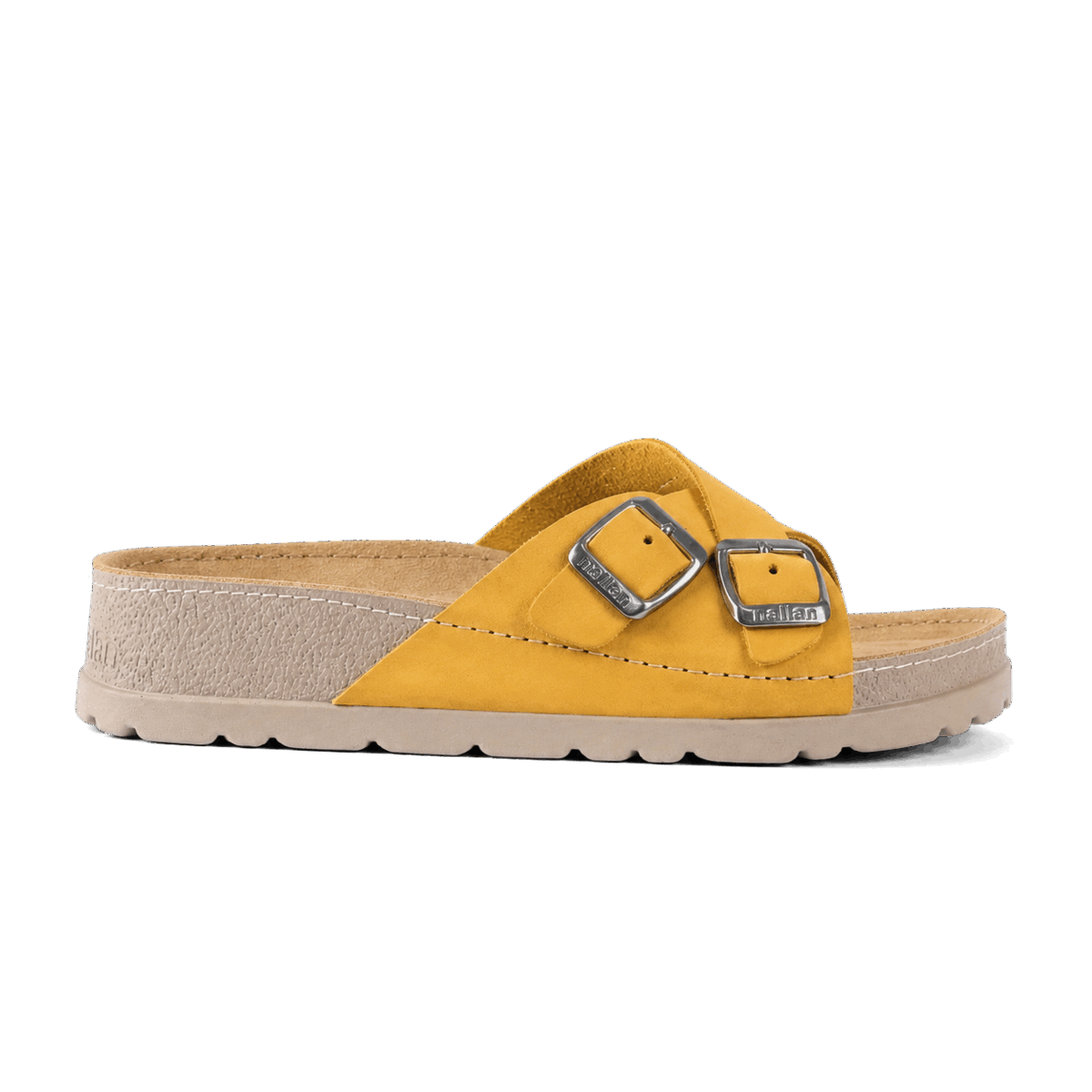 Serena Camel