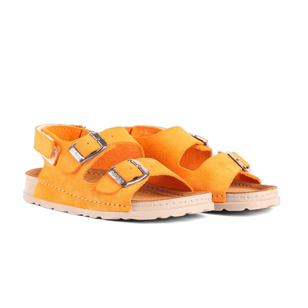 Maveric Vivid Orange