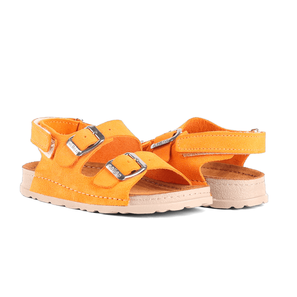 Maveric Vivid Orange