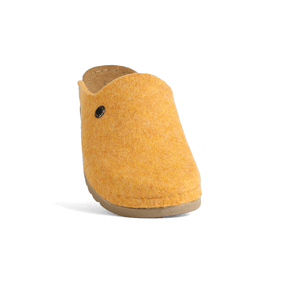 LANA ŽUTA 2