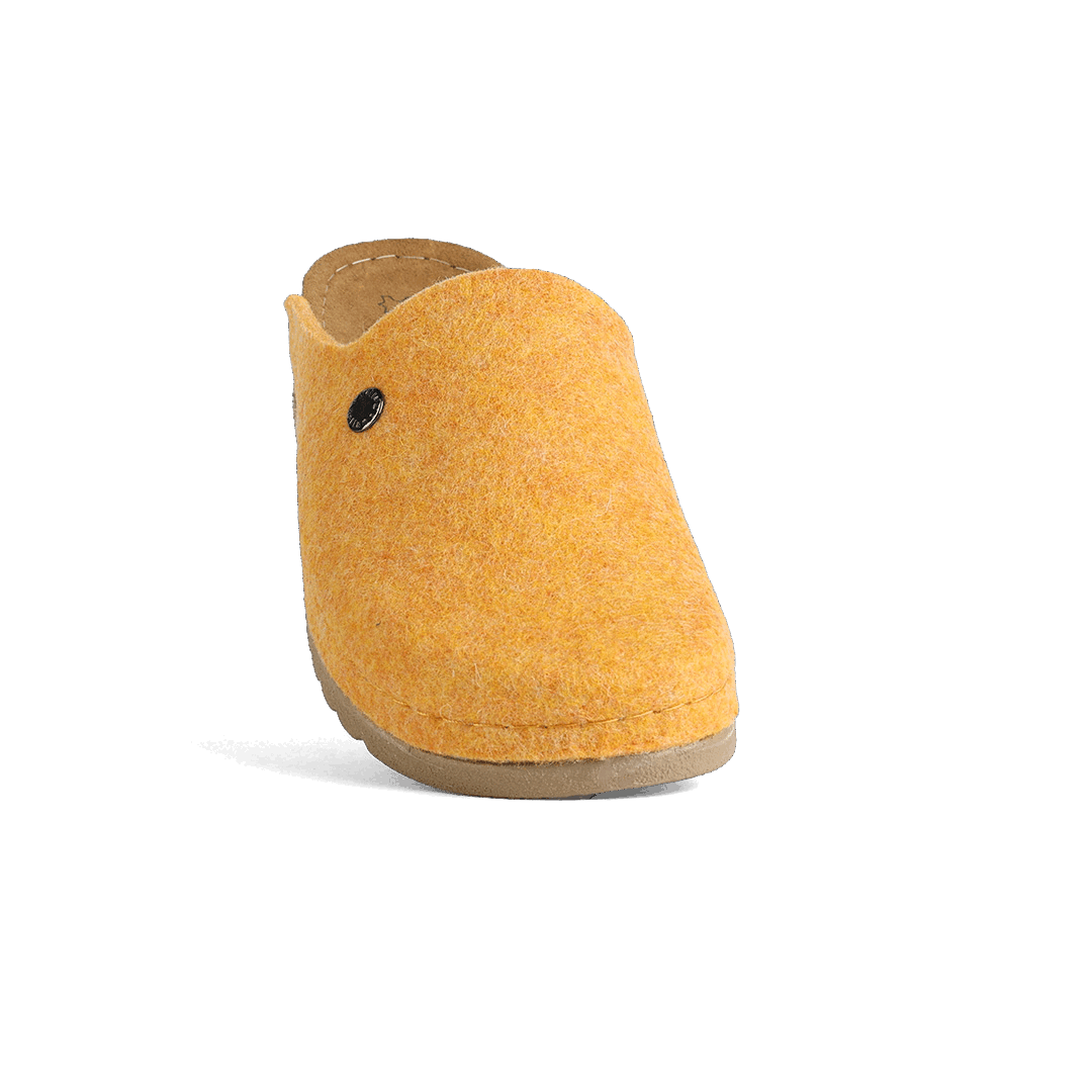 LANA ŽUTA 2