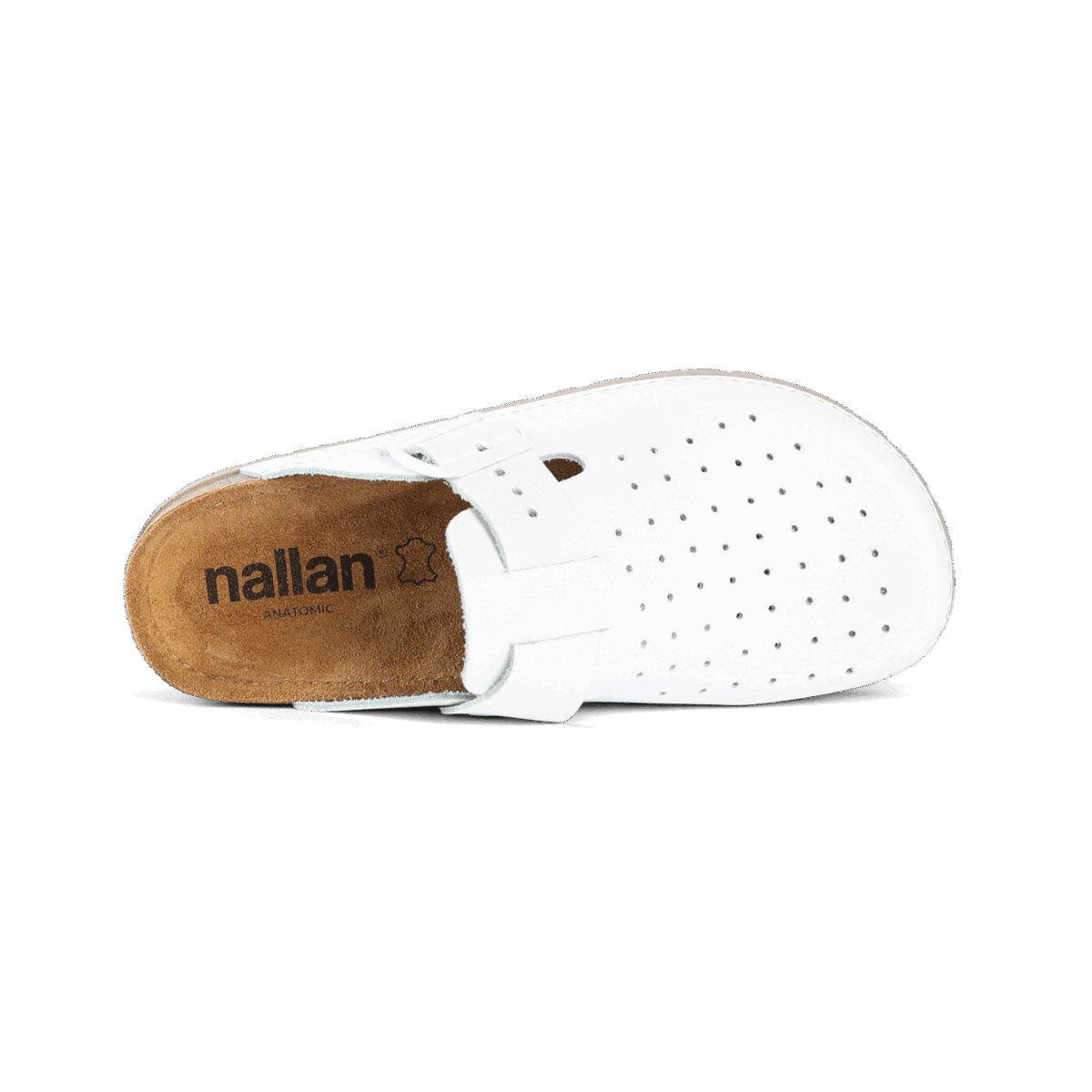 Priam White F