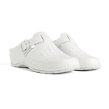 Alba Pure White